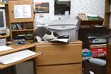 20031230_Kitty Kat_041